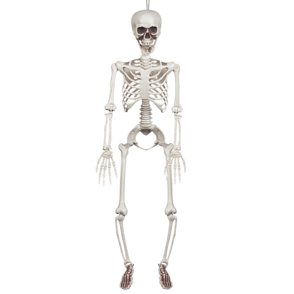KABANTIS SKELETAS (91 CM)