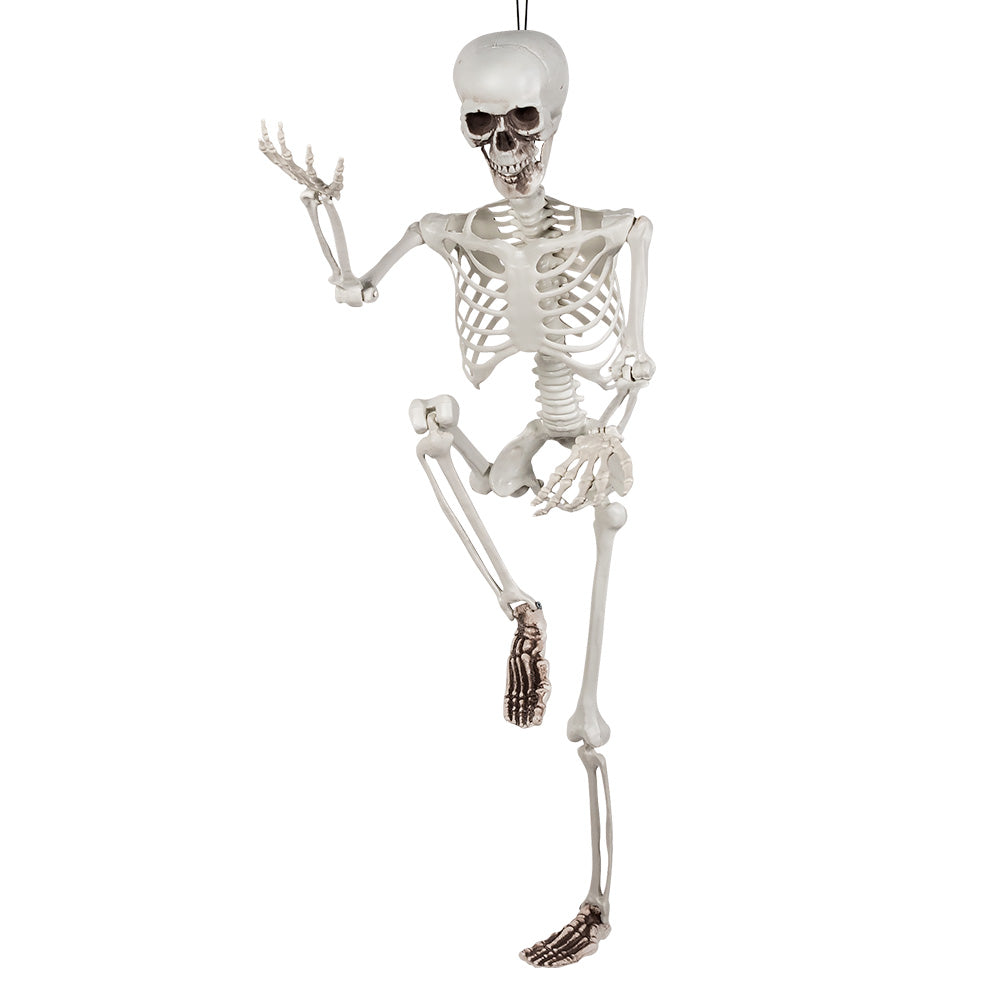 KABANTIS SKELETAS (91 CM)