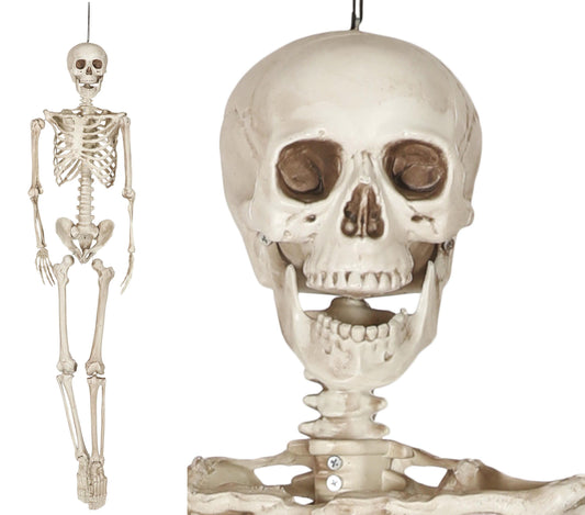 SKELETAS, 160 CM