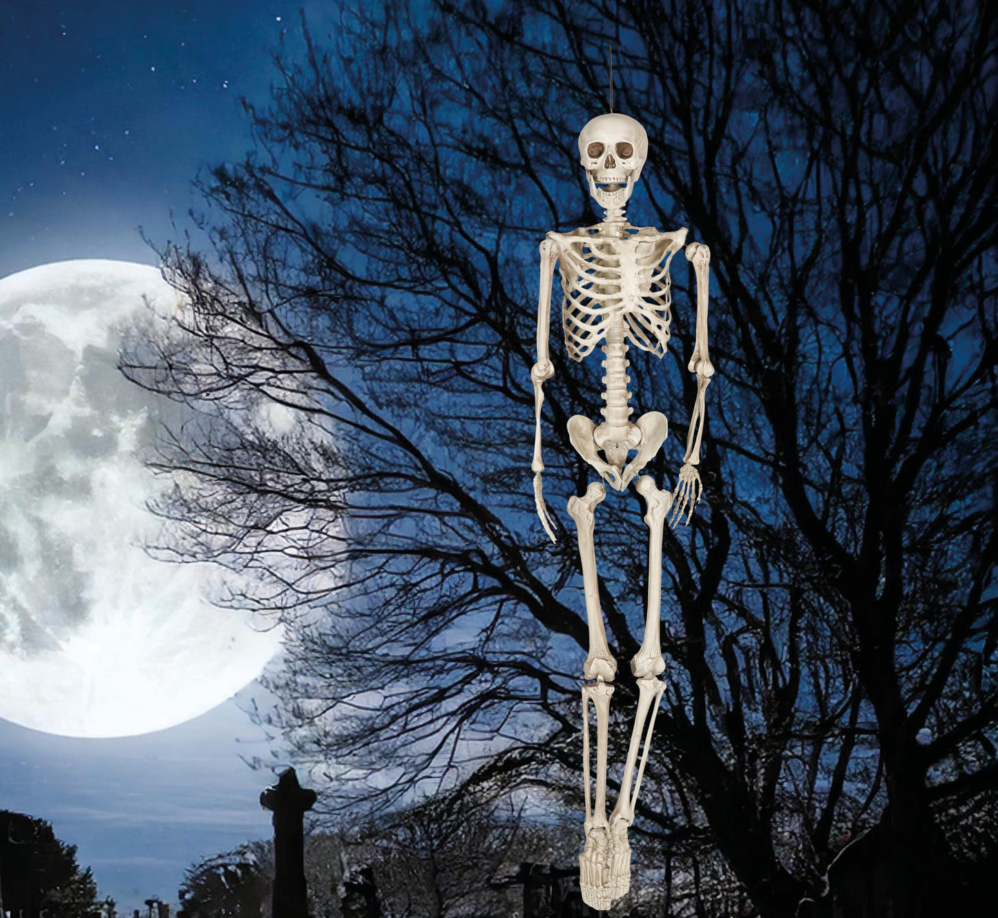 SKELETAS, 160 CM
