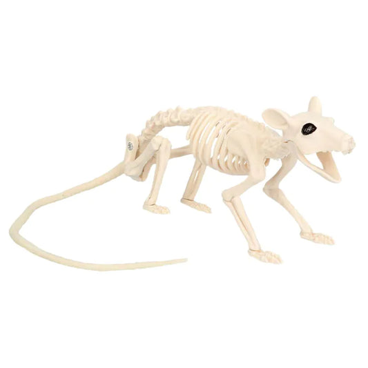 ŽIURKĖS SKELETAS (46 x 7x10CM)