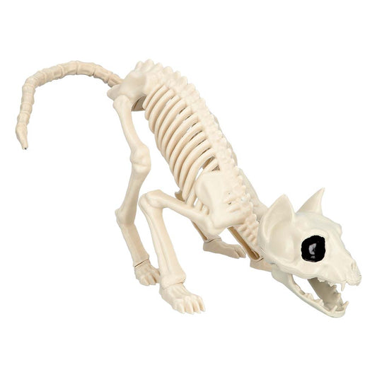 KATĖS SKELETAS (51 X 14 CM)