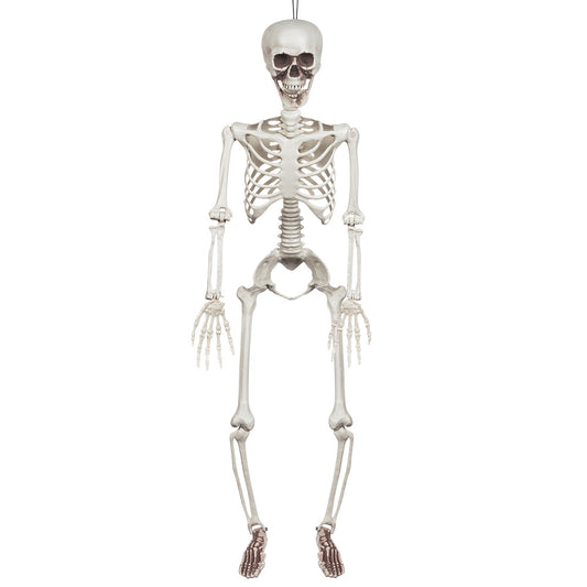 KABANTIS SKELETAS (91 CM)
