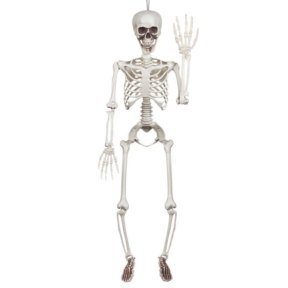 KABANTIS SKELETAS (91 CM)