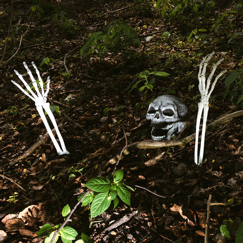 PALAIDOTAS SKELETAS (GALVA IR RANKOS)