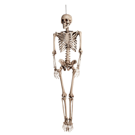 KABANTIS SKELETAS (160 CM)