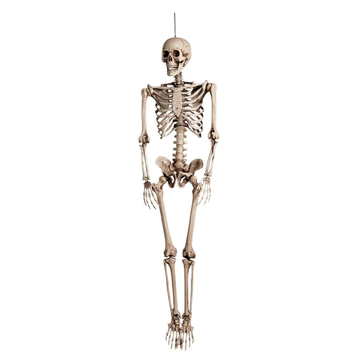 KABANTIS SKELETAS (92CM)