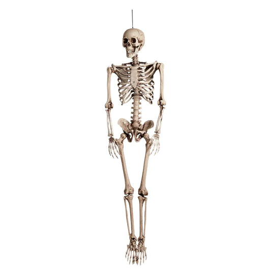 KABANTIS SKELETAS (92CM)